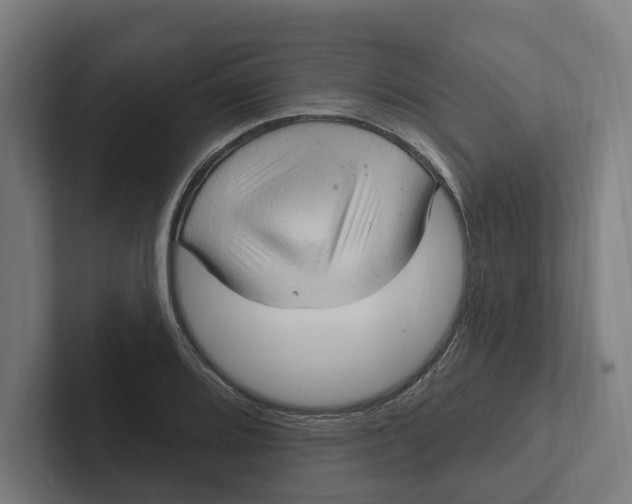 X0000102311080200808221441