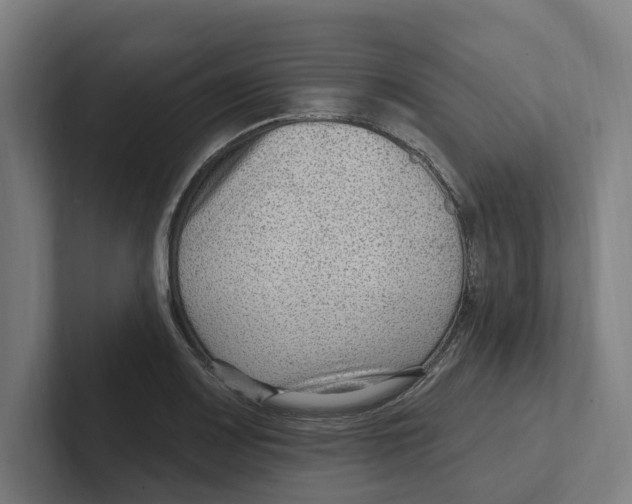 X0000102311083200808221441