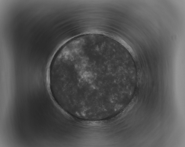 X0000102311084200808221441