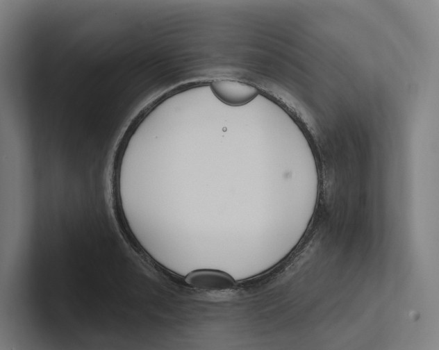 X0000102311085200808221441