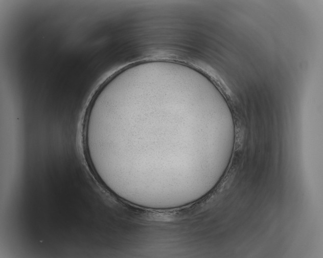 X0000102311086200808221441