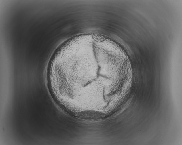 X0000102311087200808221441