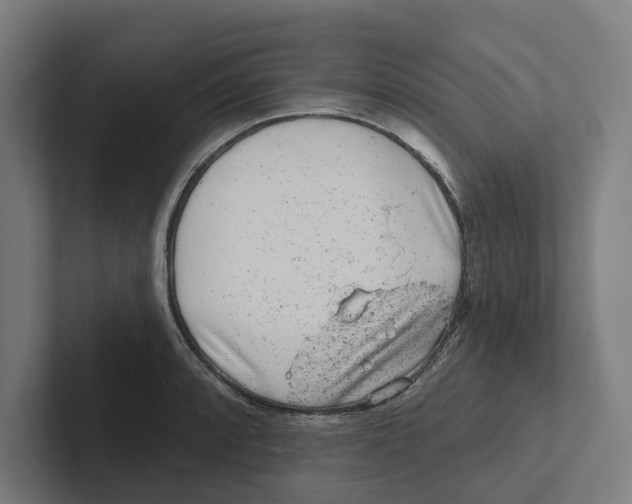 X0000102311088200808221441