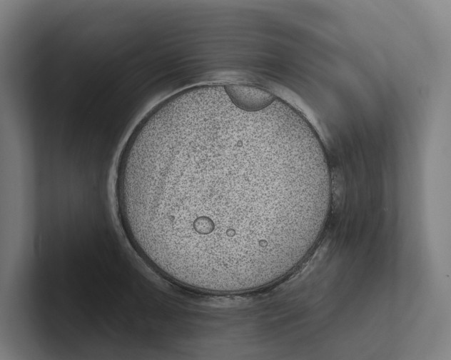 X0000102311091200808221441