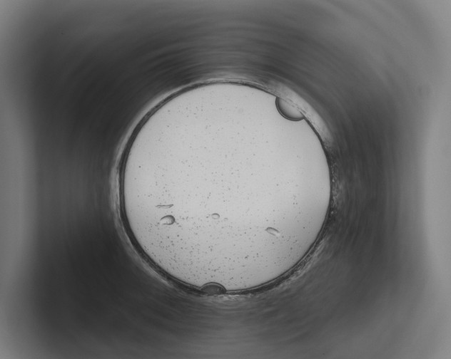 X0000102311092200808221441