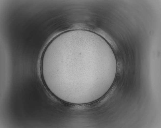 X0000102311094200808221441