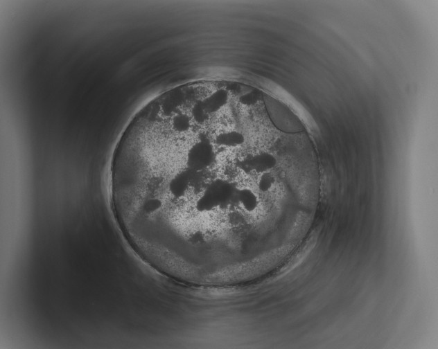 X0000102311095200808221441