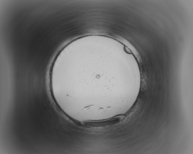 X0000102311096200808221441