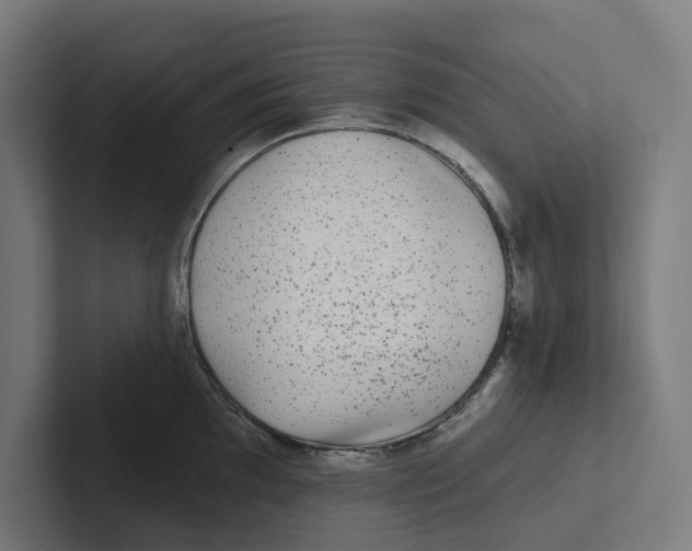 X0000102311097200808221441