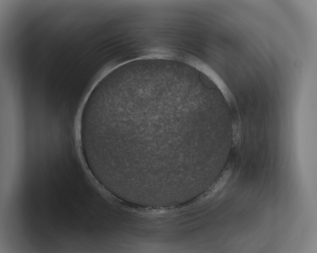 X0000102311099200808221441