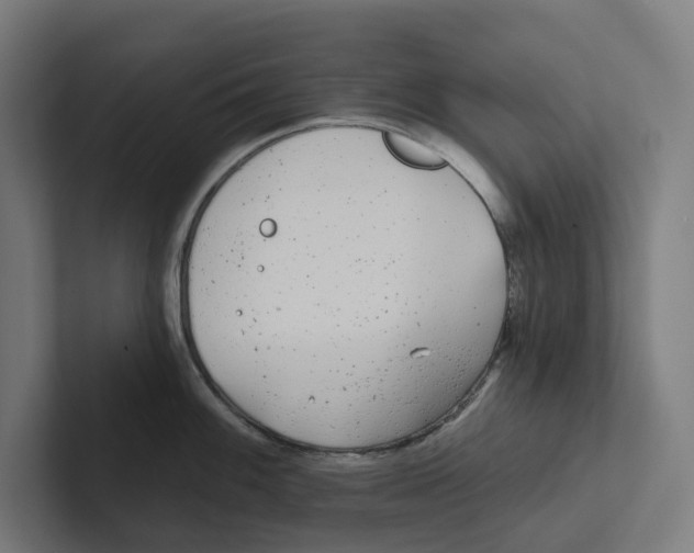 X0000102311100200808221441