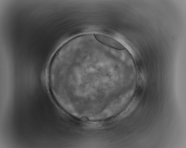 X0000102311101200808221441
