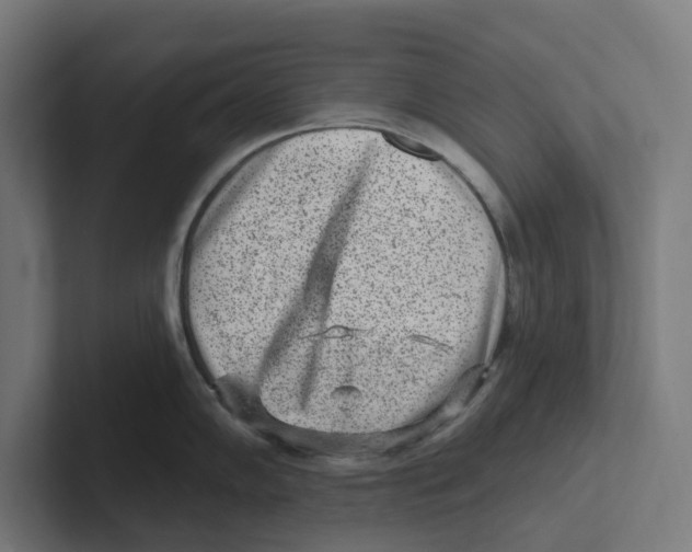 X0000102311102200808221441