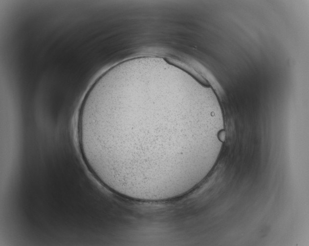 X0000102311103200808221441