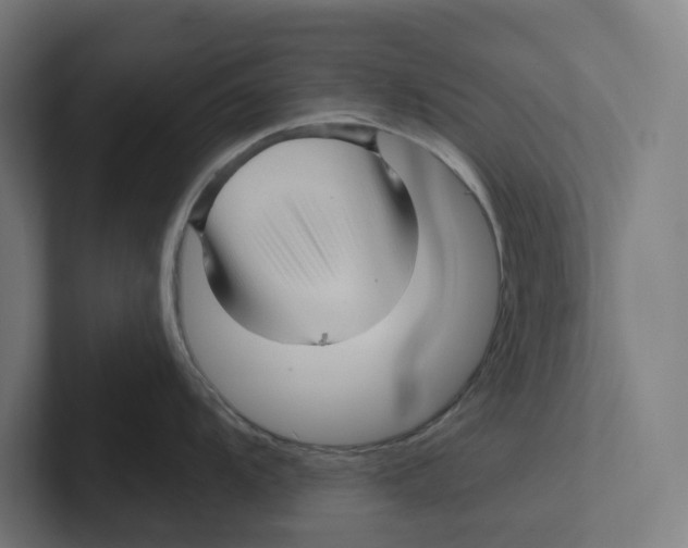 X0000102311104200808221441