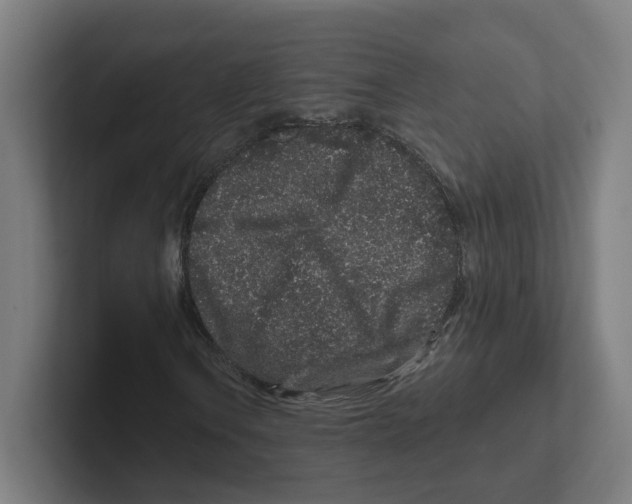 X0000102311106200808221440