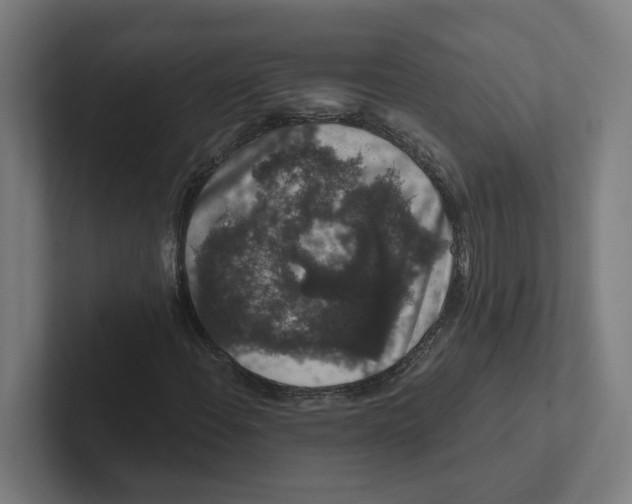 X0000102311108200808221440