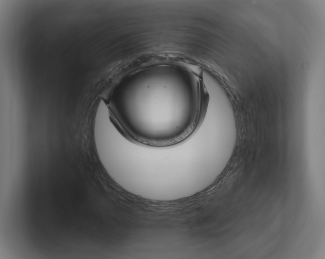 X0000102311110200808221440