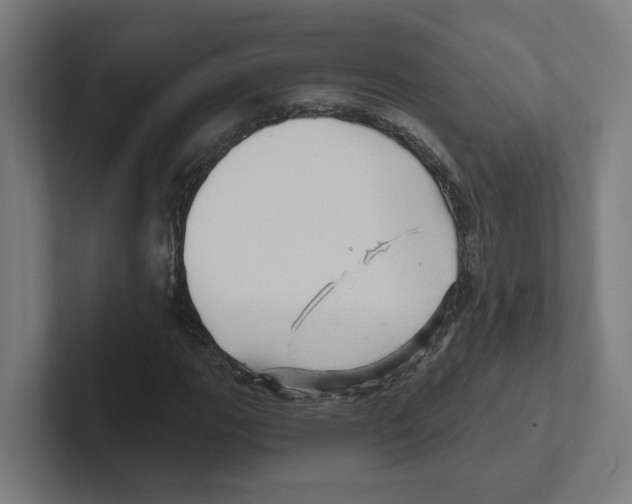 X0000102311111200808221440