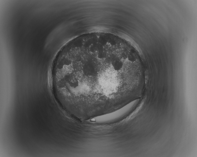 X0000102311117200808221441
