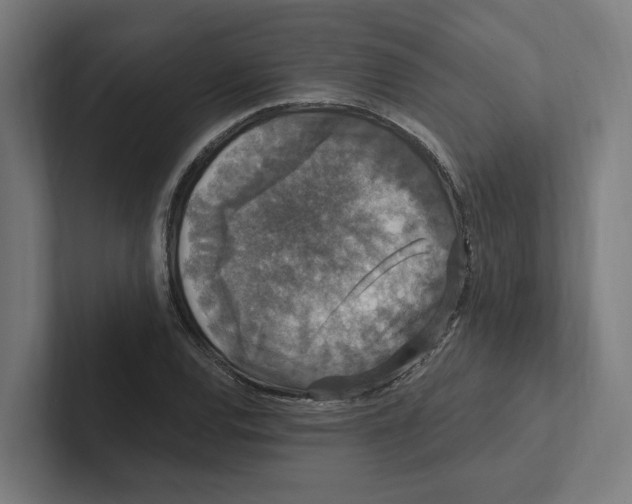 X0000102311120200808221441