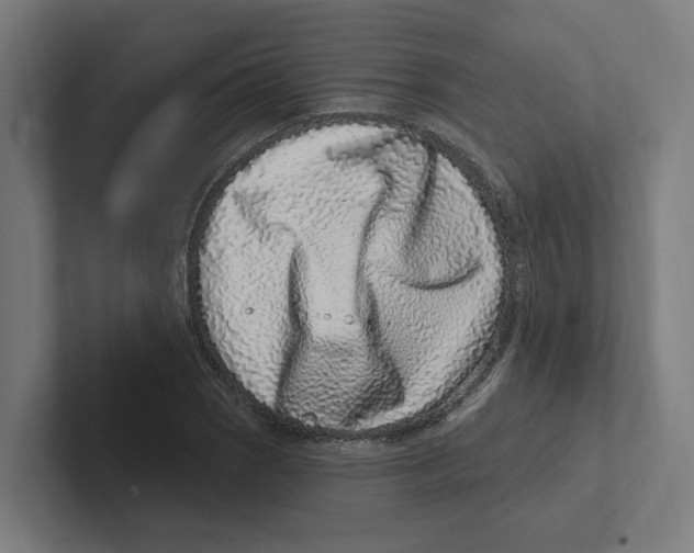 X0000102311121200808221441