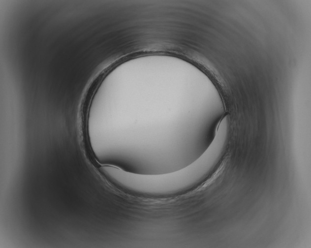 X0000102311122200808221441