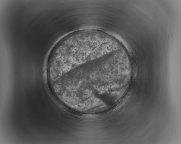 X0000102311124200808221441