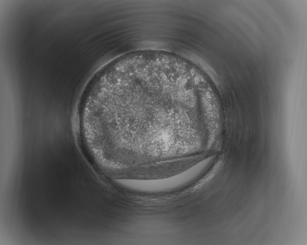 X0000102311125200808221441