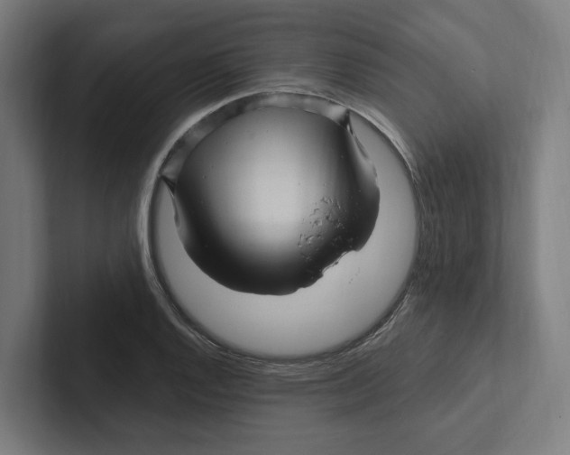 X0000102311128200808221441