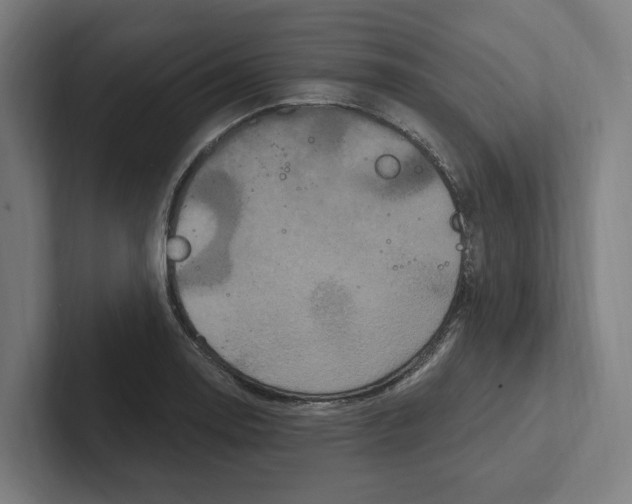 X0000102311130200808221441