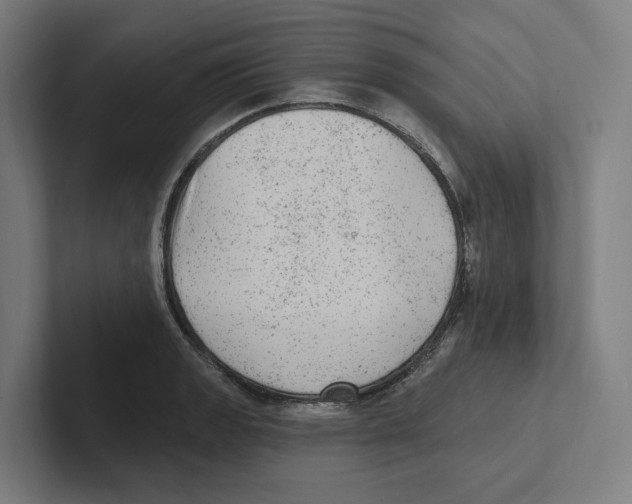 X0000102311133200808221441