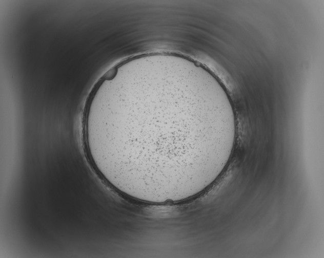 X0000102311134200808221441