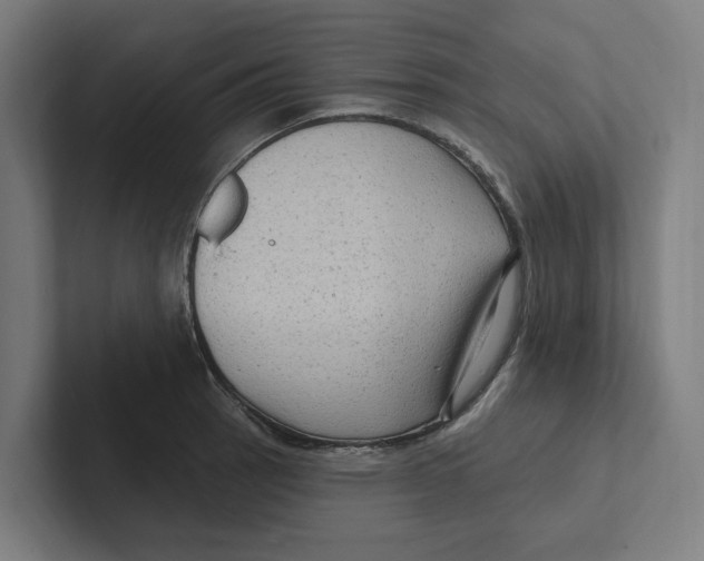 X0000102311137200808221441