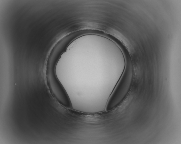 X0000102311138200808221441