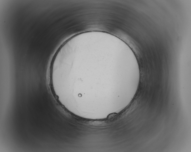 X0000102311140200808221441