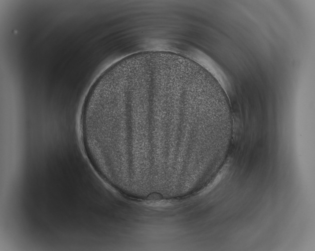 X0000102311141200808221441