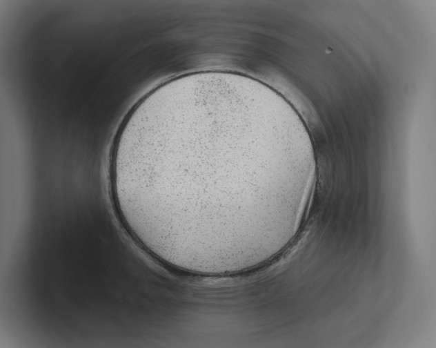 X0000102311142200808221441
