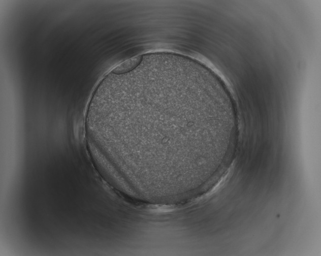 X0000102311145200808221441