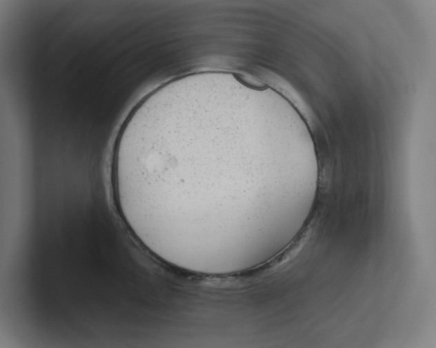 X0000102311146200808221441