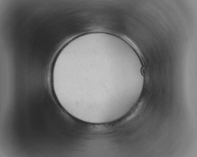 X0000102311149200808221441