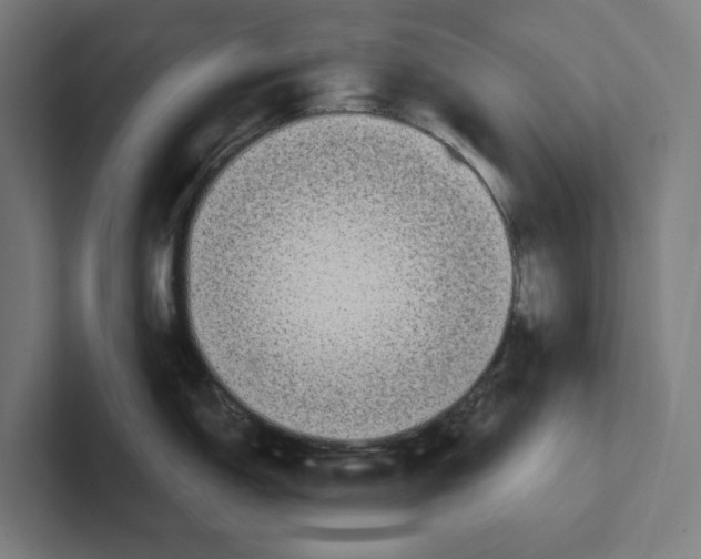 X0000102311150200808221441
