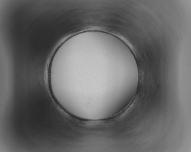 X0000102311151200808221441
