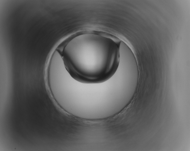 X0000102311152200808221441