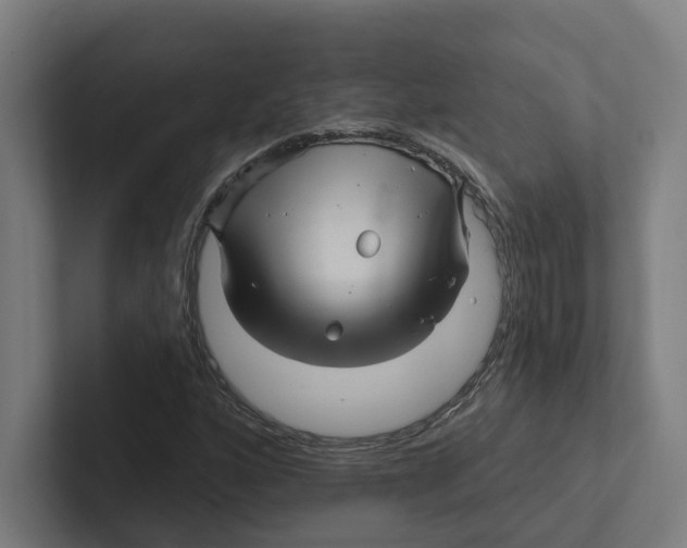 X0000102311160200808221440