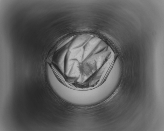 X0000102311161200808221440