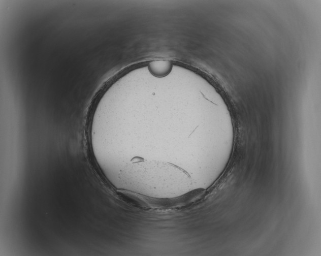 X0000102311168200808221440