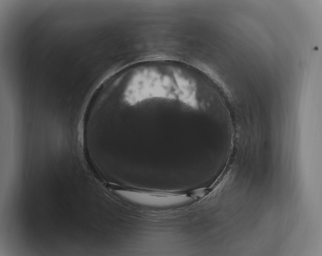 X0000102311173200808221440