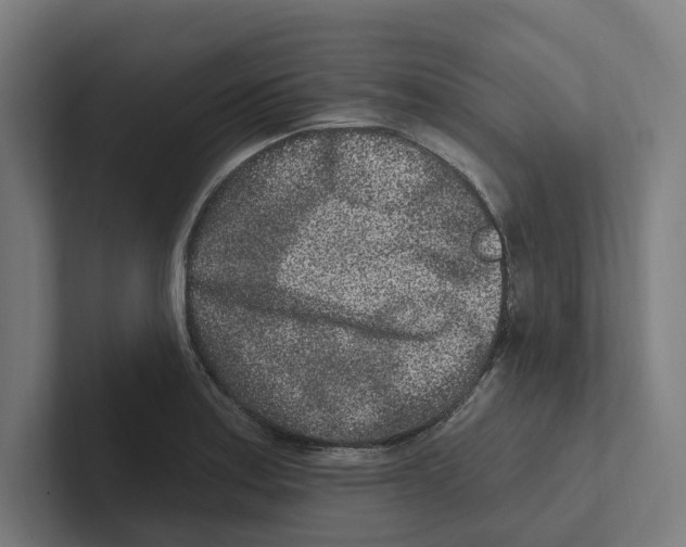 X0000102311179200808221440