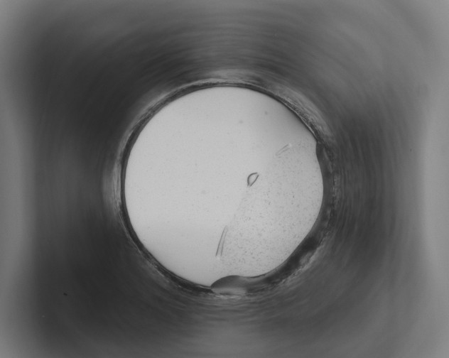 X0000102311180200808221440
